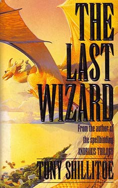 The Last Wizard