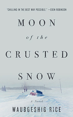 Moon of the Crusted Snow:  A Novel