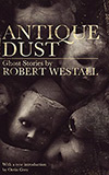 Antique Dust